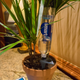 Illustration for article titled Parrots New Greenthumb Gadgets Take Care of Your Plants Automatically